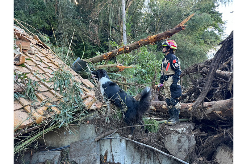 ボランティアイメージ