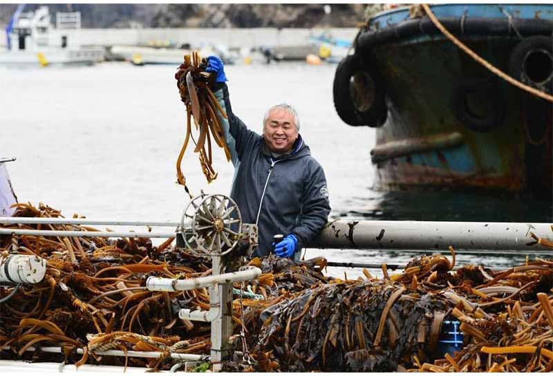 ボランティアイメージ